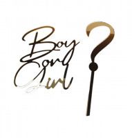 Топпер Мальчик или Девочка (Boy or Girl) золото акрил